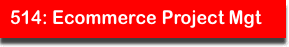 514: Ecommerce Project Mgt